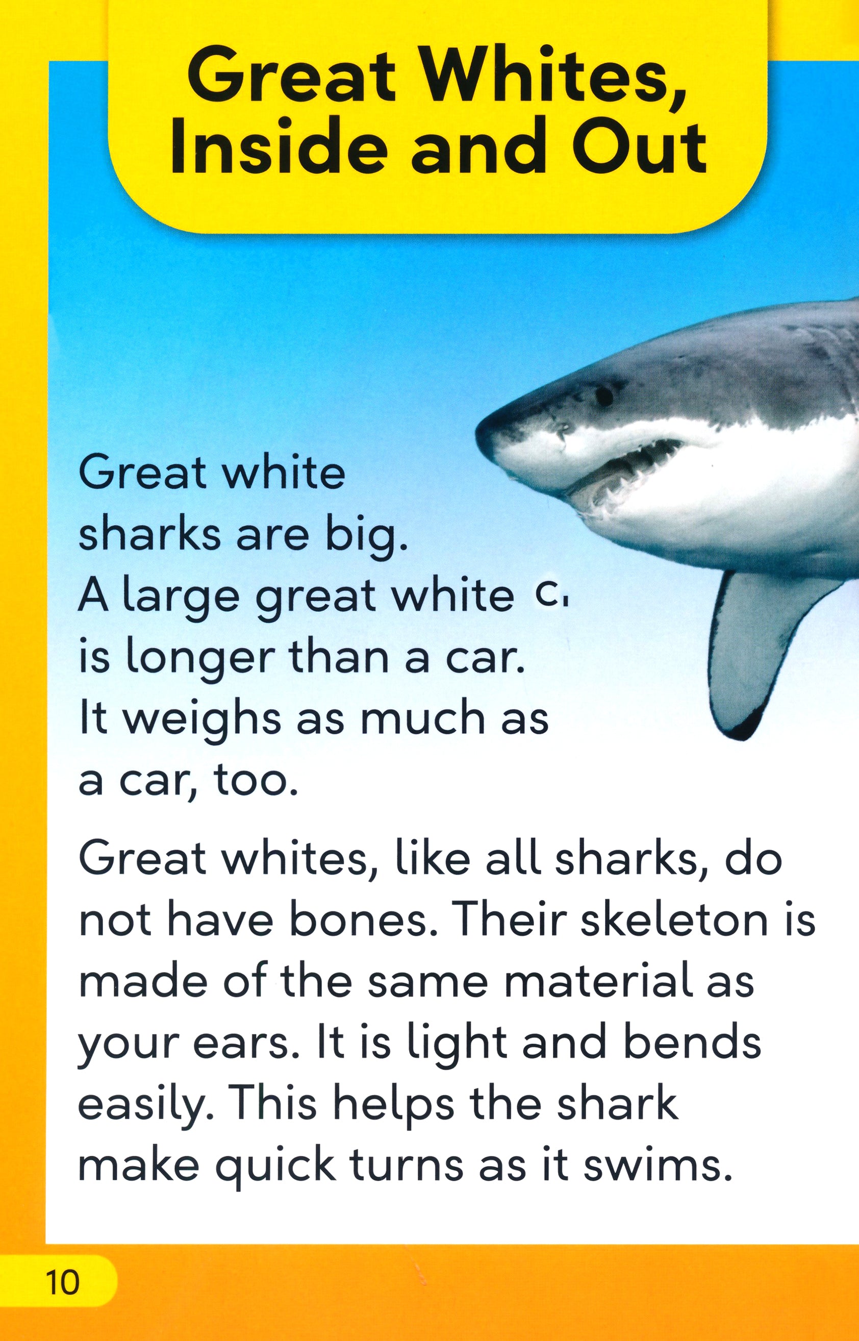 DK Super Readers Level 2 Great White Sharks