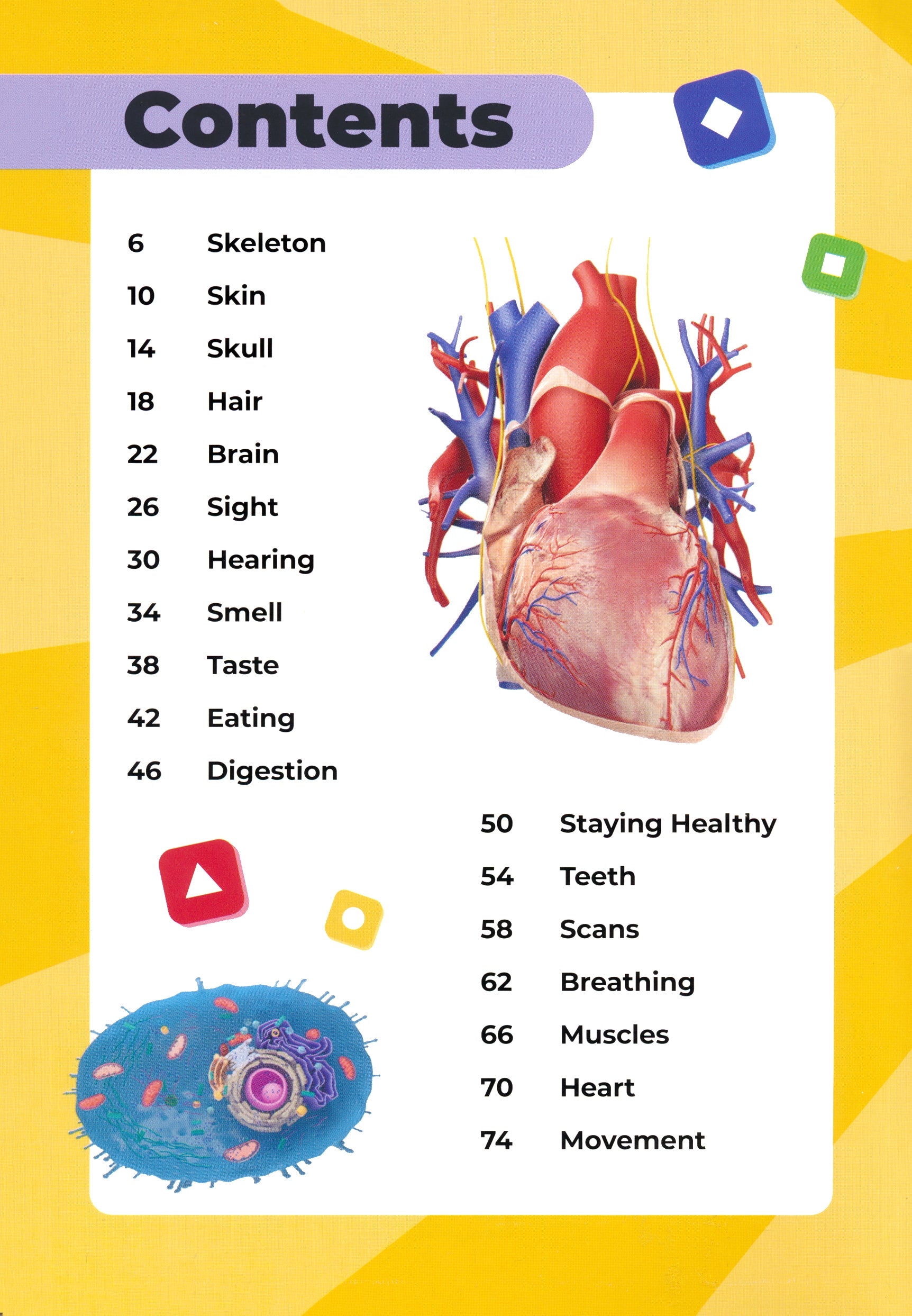 Kahoot! Quiz Time Human Body Test Yourself Challenge Your Friends