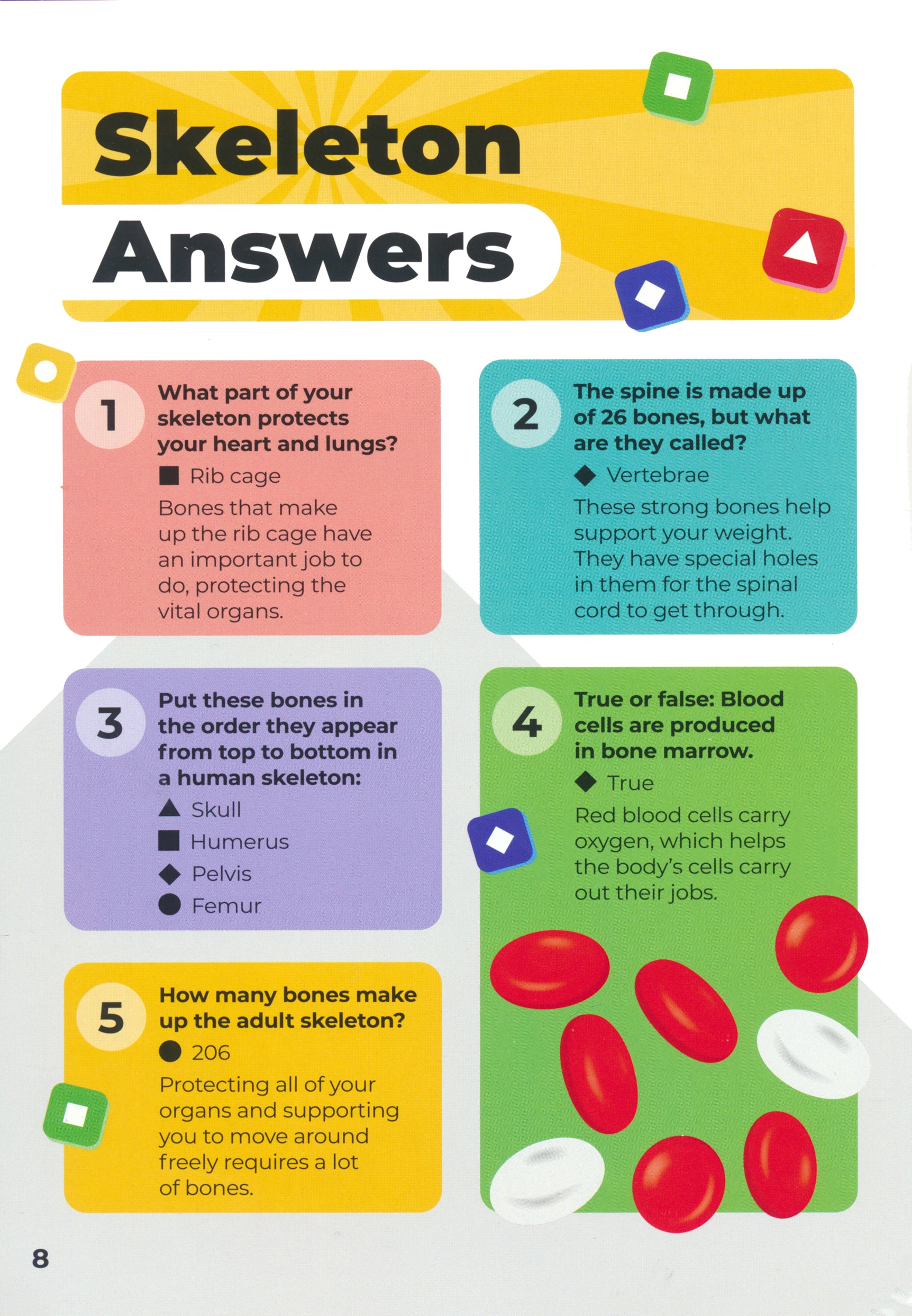 Kahoot! Quiz Time Human Body Test Yourself Challenge Your Friends