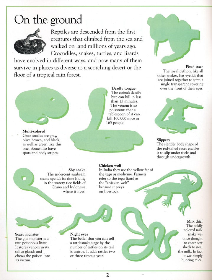 Ultimate Sticker Book: Reptile