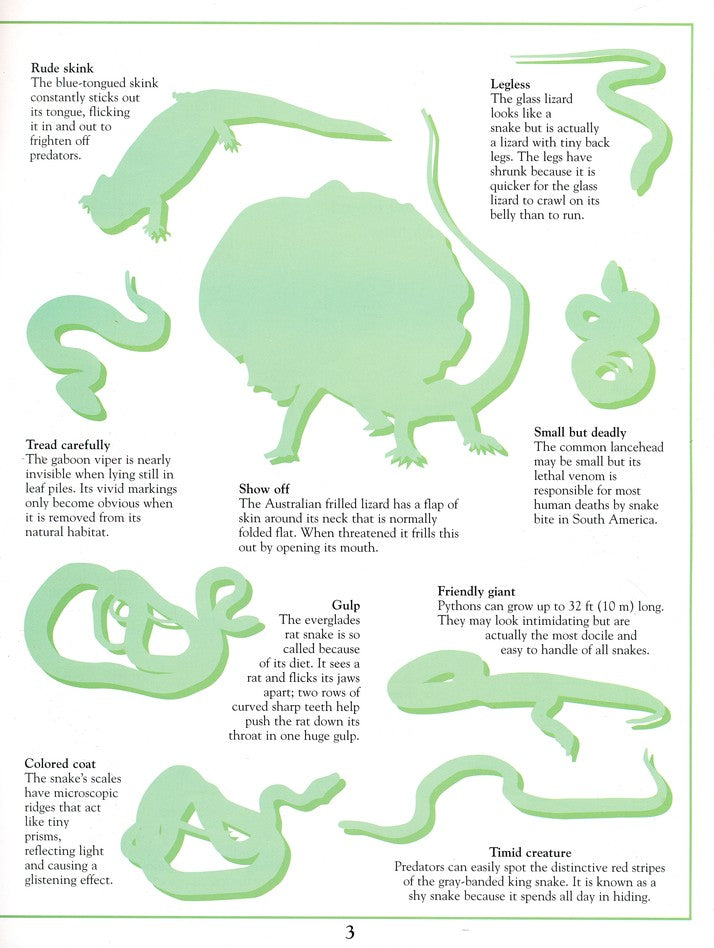 Ultimate Sticker Book: Reptile