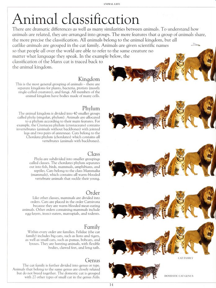 Encyclopedia of Animals