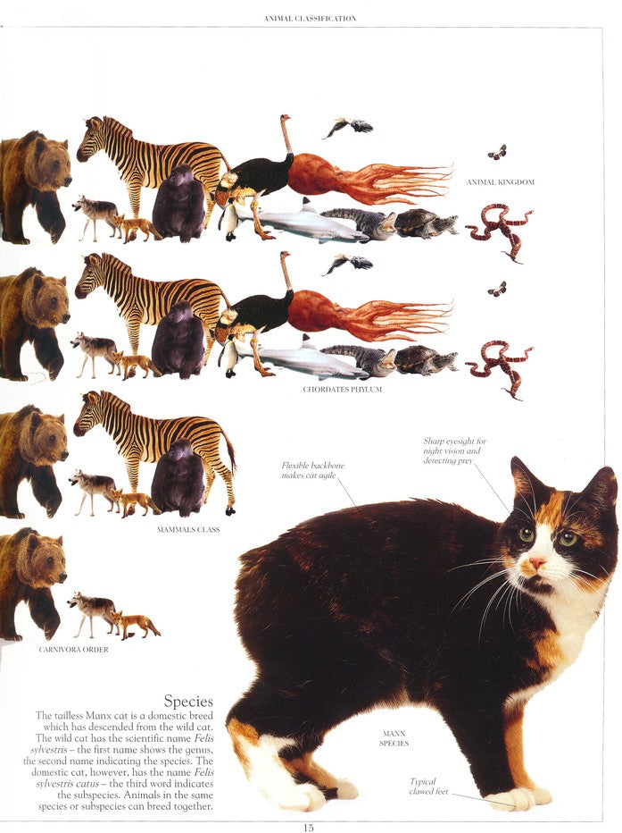 Encyclopedia of Animals