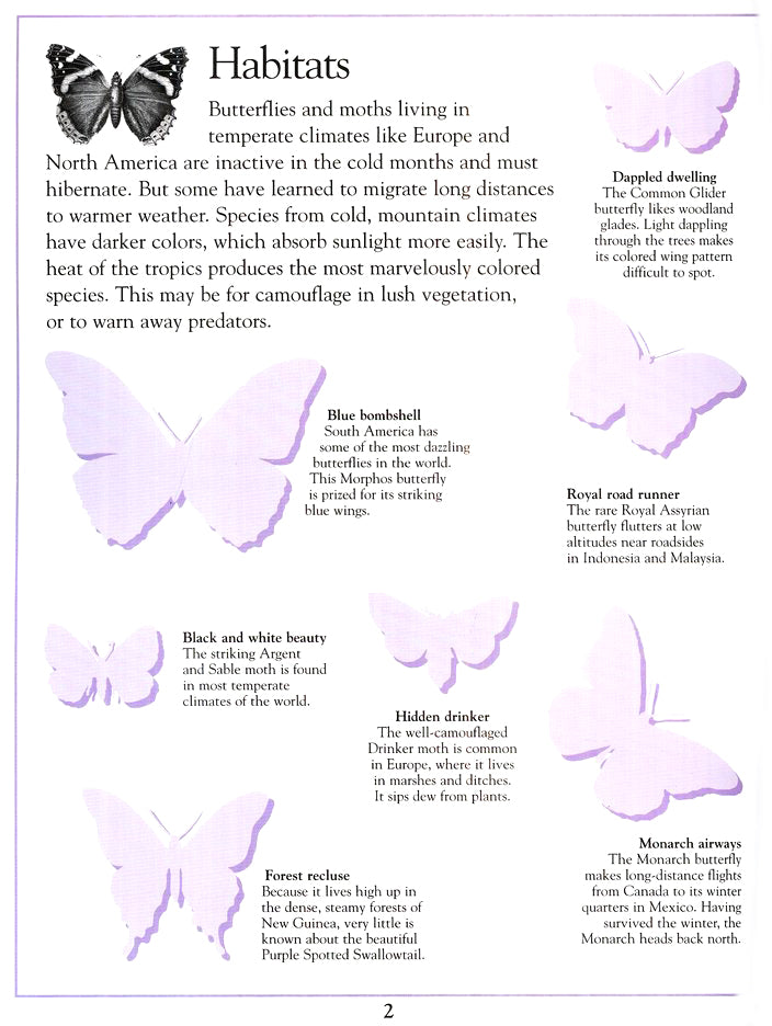 Ultimate Sticker Book: Butterflies