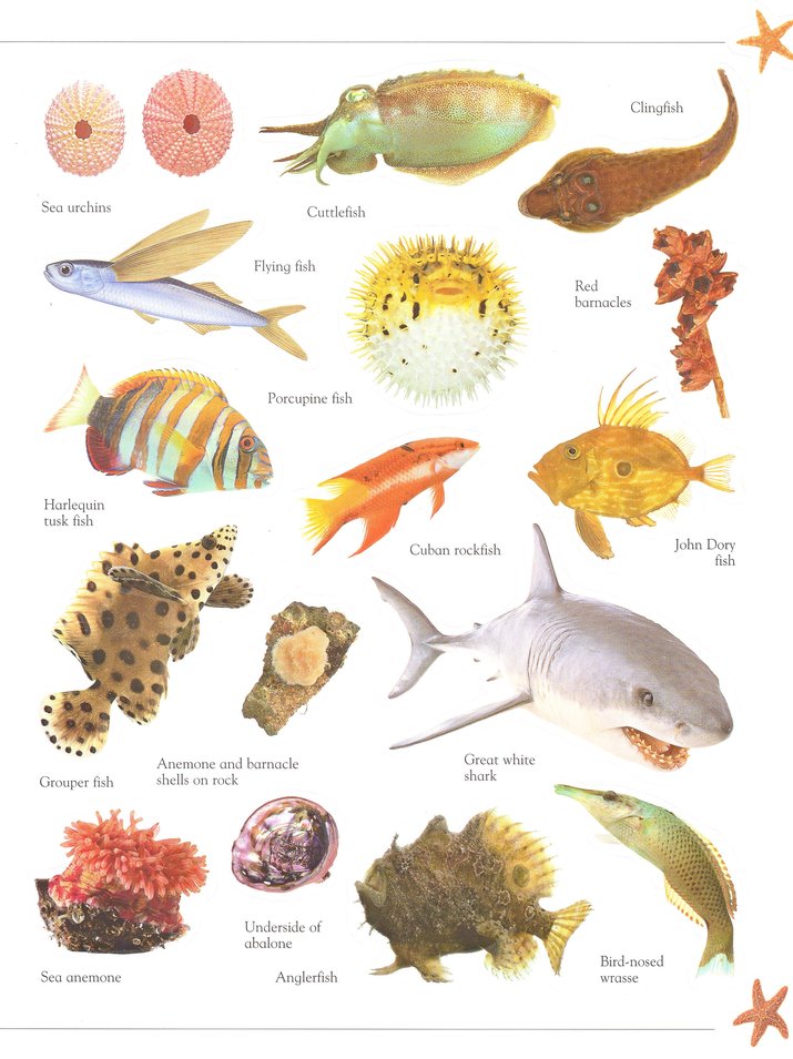 Ultimate Sticker Book: Glow in the Dark: Ocean Creatures