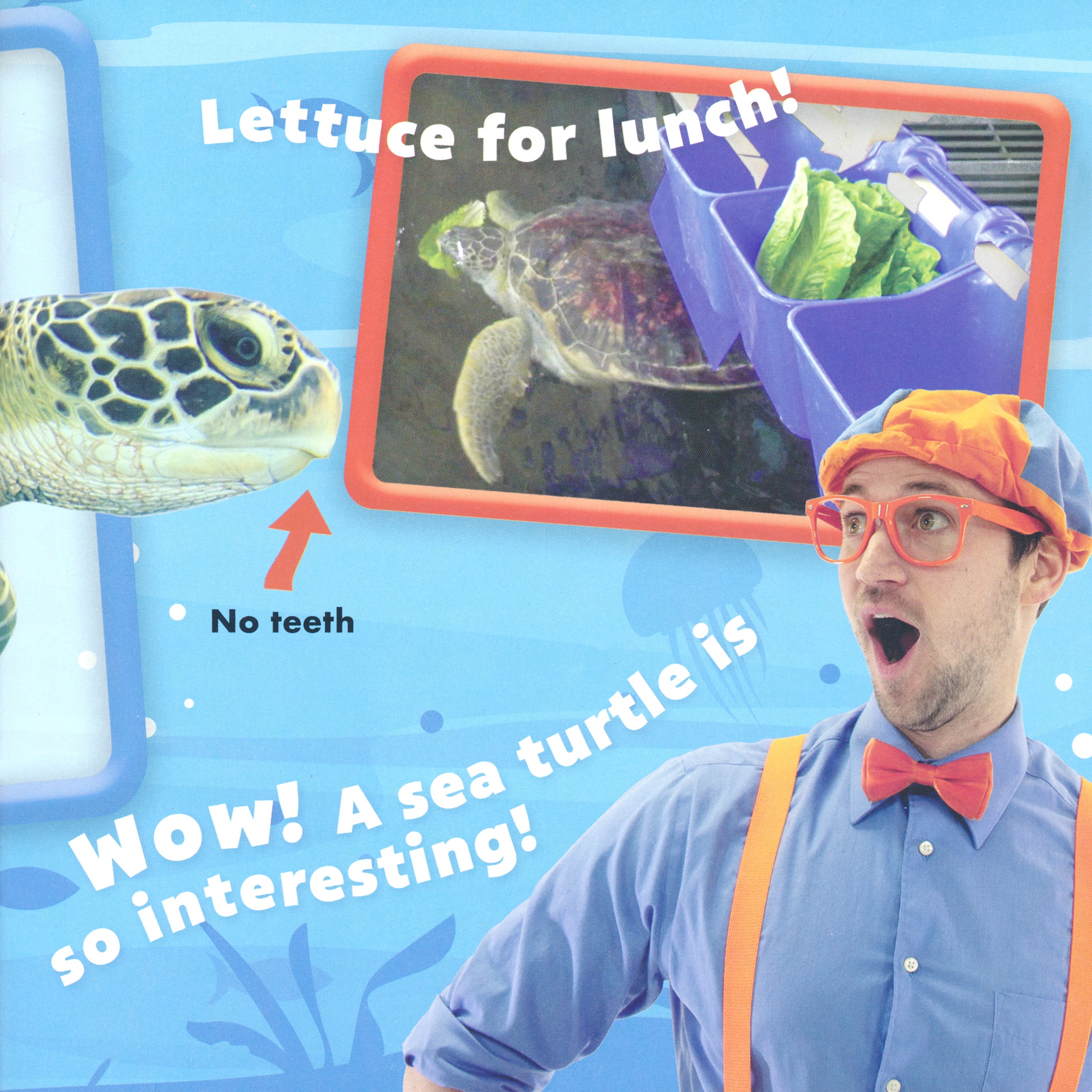 Blippi: Let's See Animals!