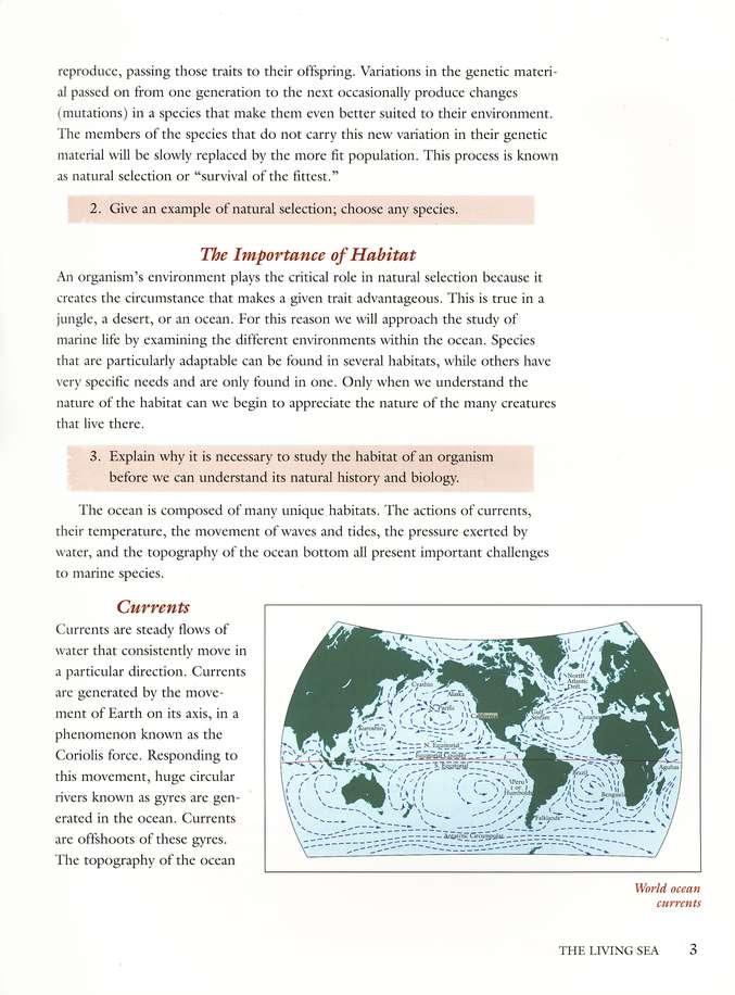 Marine Biology Textbook: An Introduction to Ocean Ecosystems