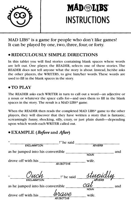 Spy Mad Libs