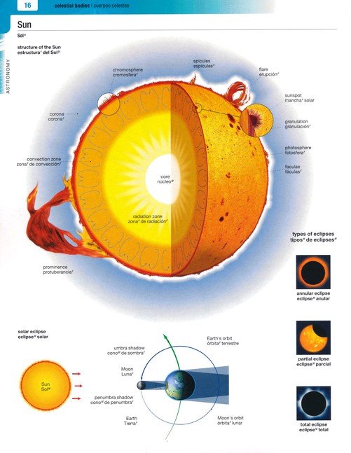 Merriam-Webster's Spanish-English Visual Dictionary