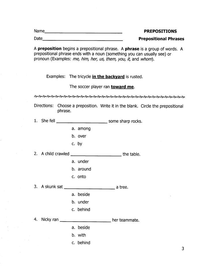 Easy Grammar Grade 5