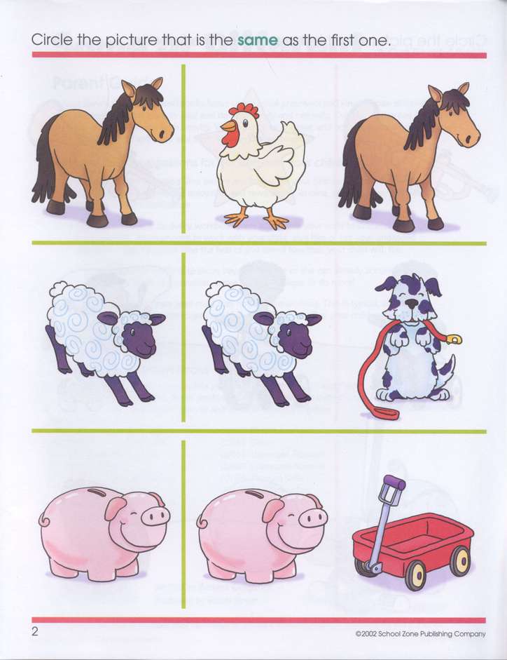 Perceptual Skills-Same or Different, Preschool Get Ready Workbooks