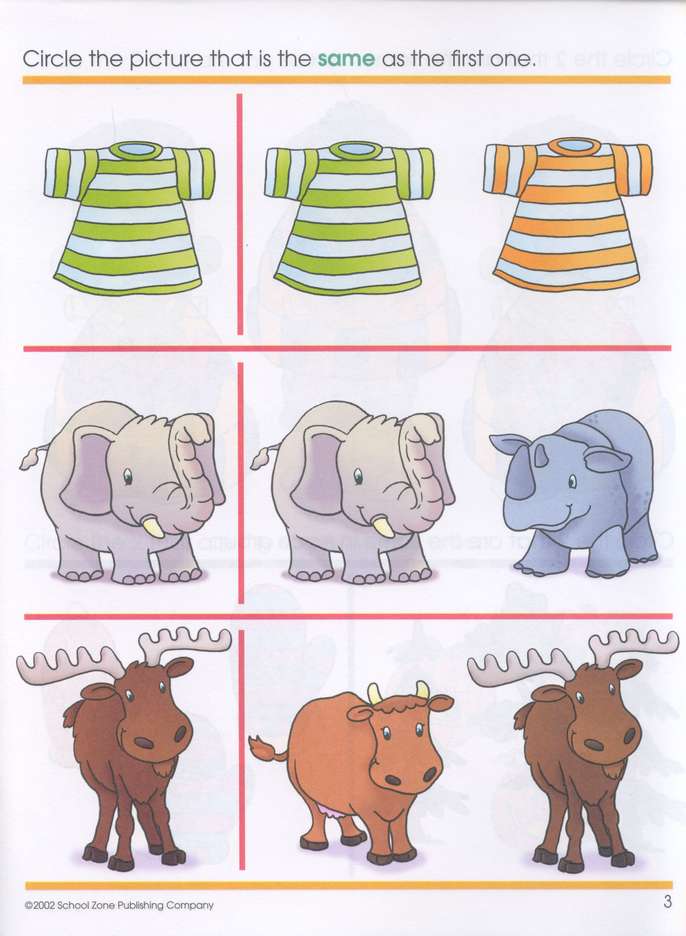 Perceptual Skills-Same or Different, Preschool Get Ready Workbooks