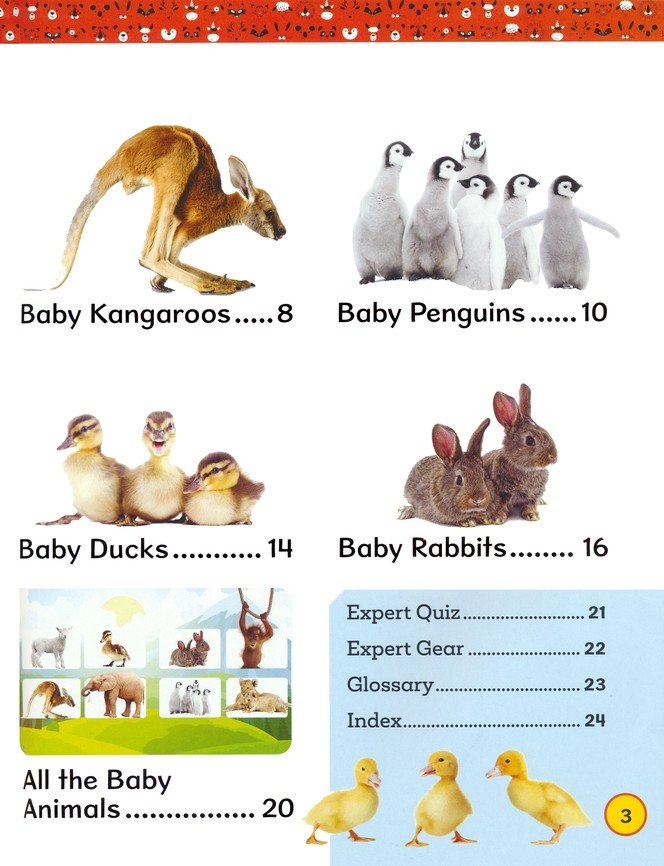 Baby Animals (Be an Expert!)