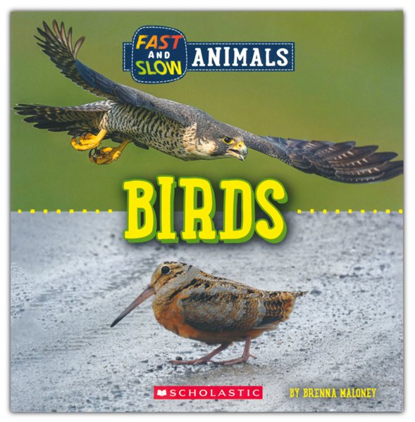 Fast and Slow: Birds