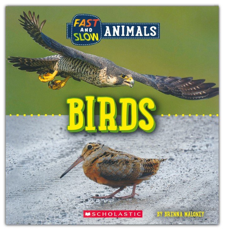 Fast and Slow: Birds