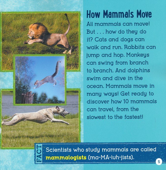 Fast and Slow: Mammals