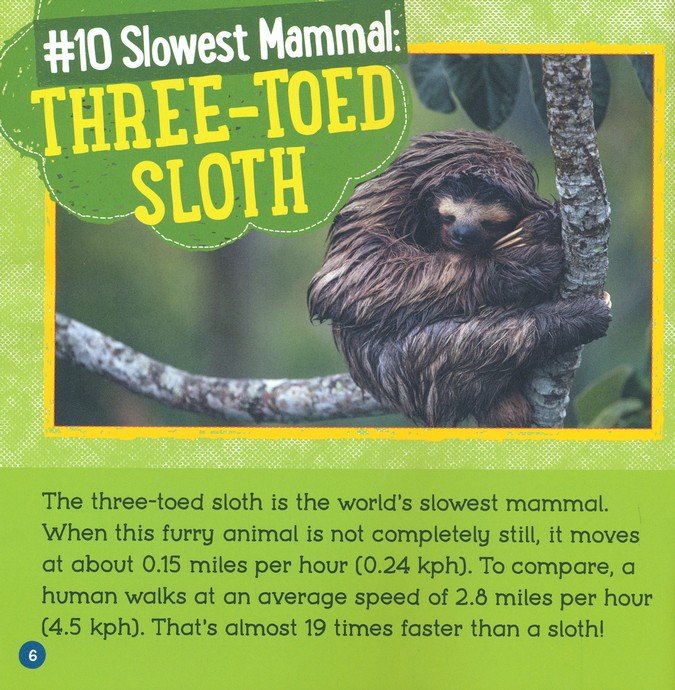 Fast and Slow: Mammals