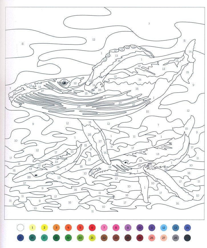 Wild Ocean Color by Numbers