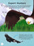 All About Birds: An Illustrated Guide to Our Feathered Friends