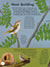 All About Birds: An Illustrated Guide to Our Feathered Friends