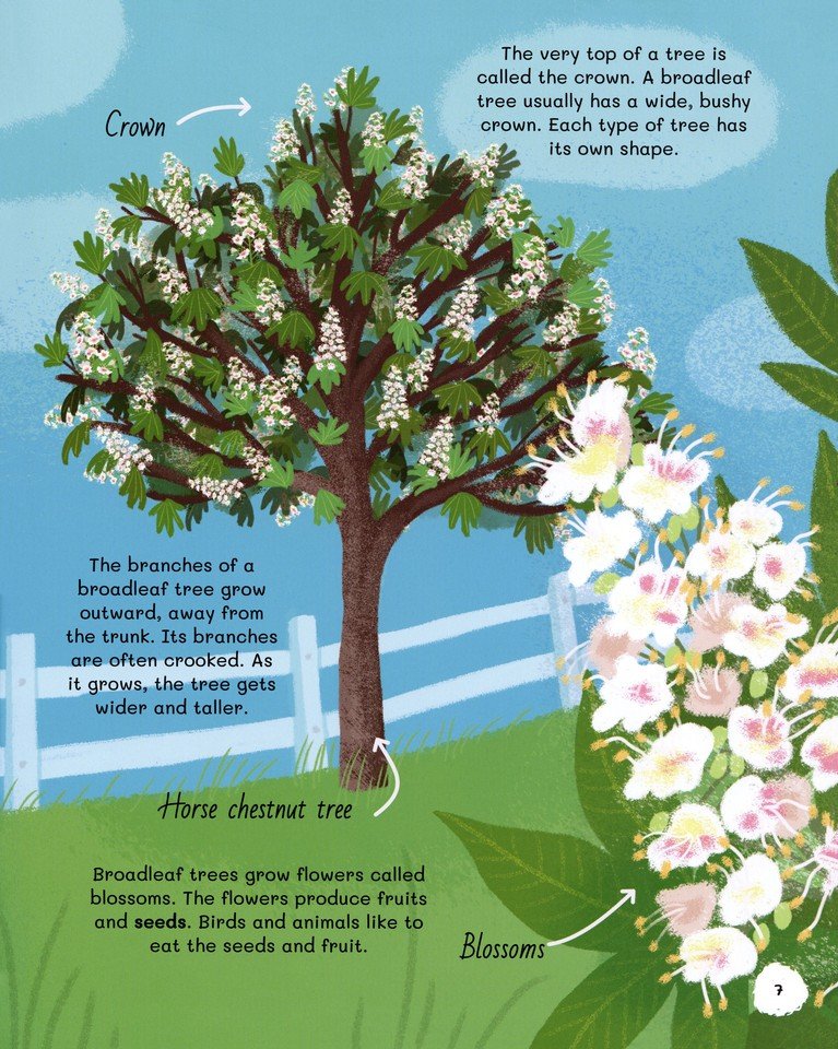 All About Trees: An Illustrated Guide to Nature's Giants