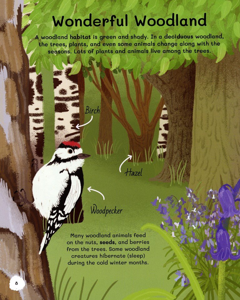 All About Trees: An Illustrated Guide to Nature's Giants