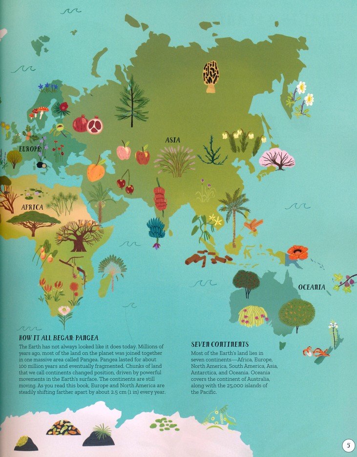 The World of Plants: An Illustrated Guide to the Wonders of the Wild