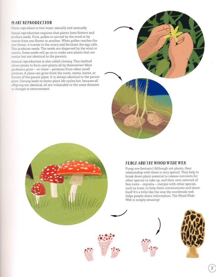 The World of Plants: An Illustrated Guide to the Wonders of the Wild