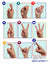 Sign Language for Kids: A Fun & Easy Guide to American Sign Language