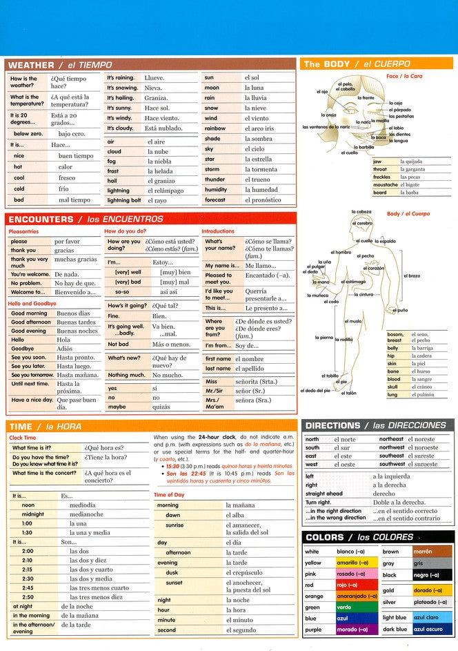 Spanish Vocabulary SparkCharts