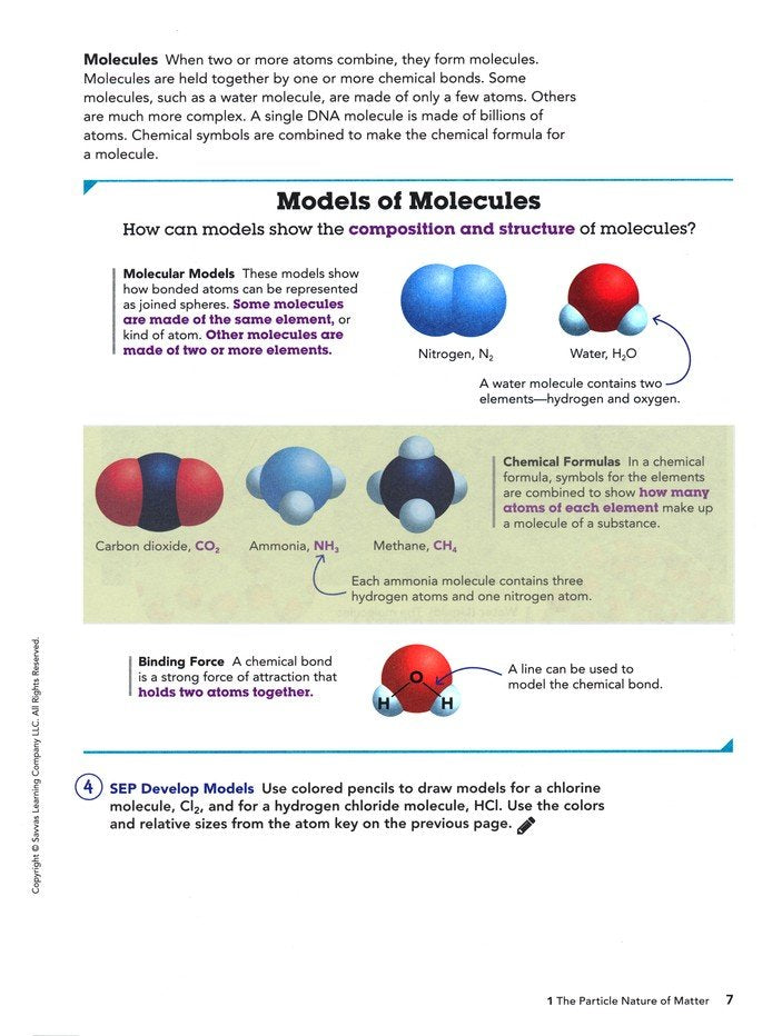 Experience Chemistry Homeschool Bundle (2021 Edition)