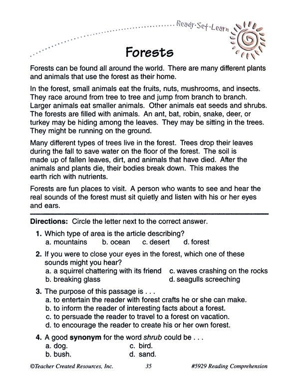 Ready Set Learn: Reading Comprehension (Grade 3)