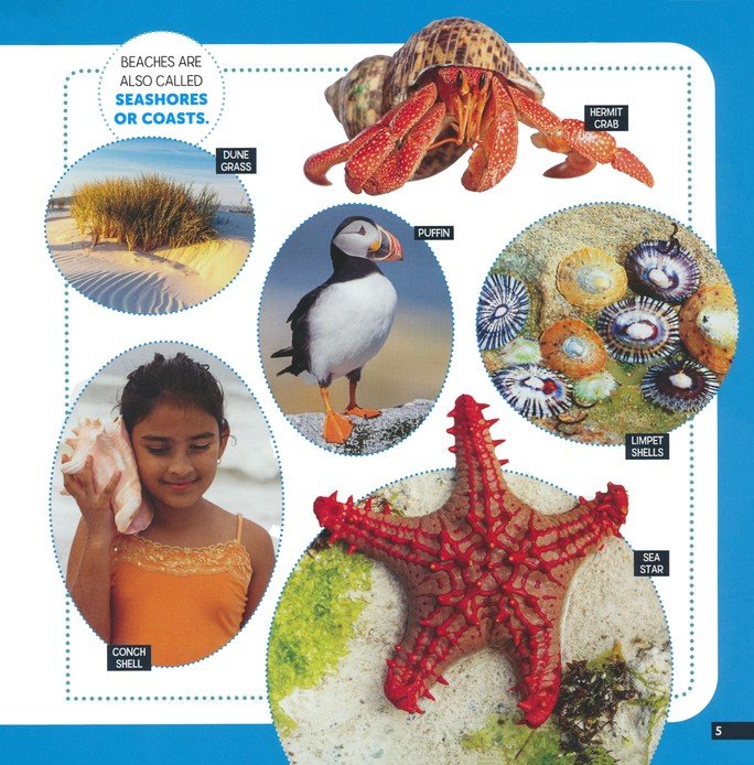 Little Kids First Nature Guide: Explore the Beach