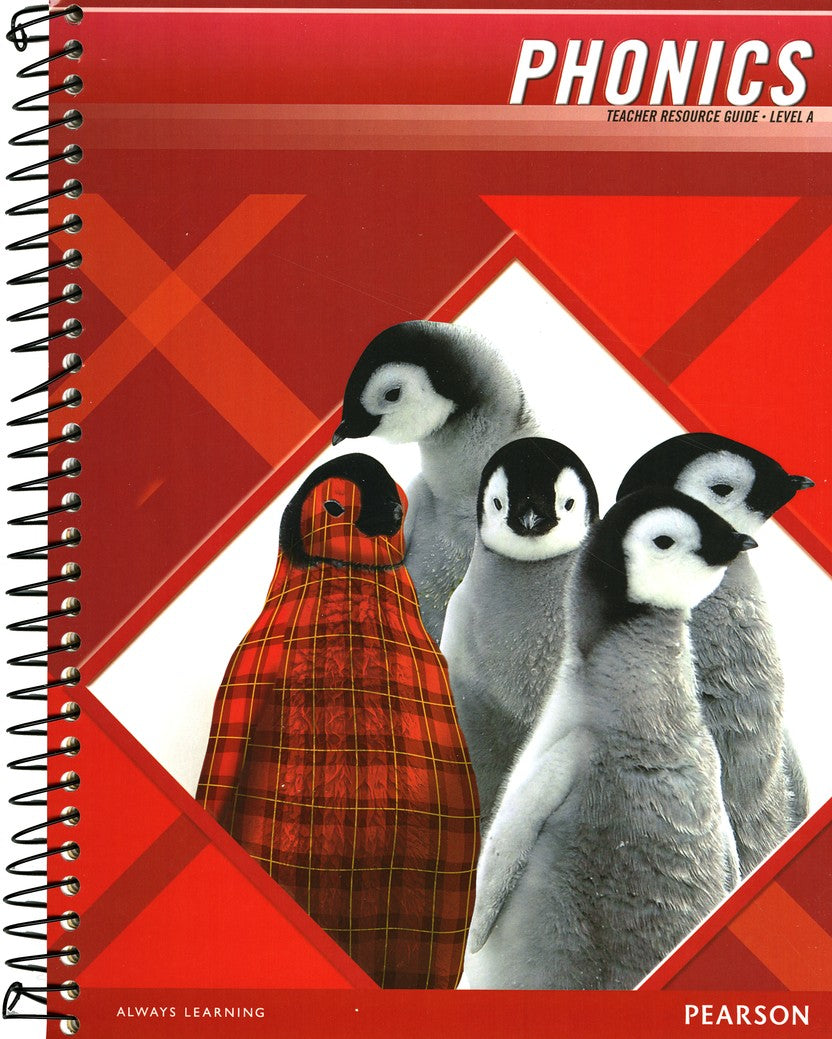 Plaid Phonics Level A Homeschool Bundle (2011 Copyright)