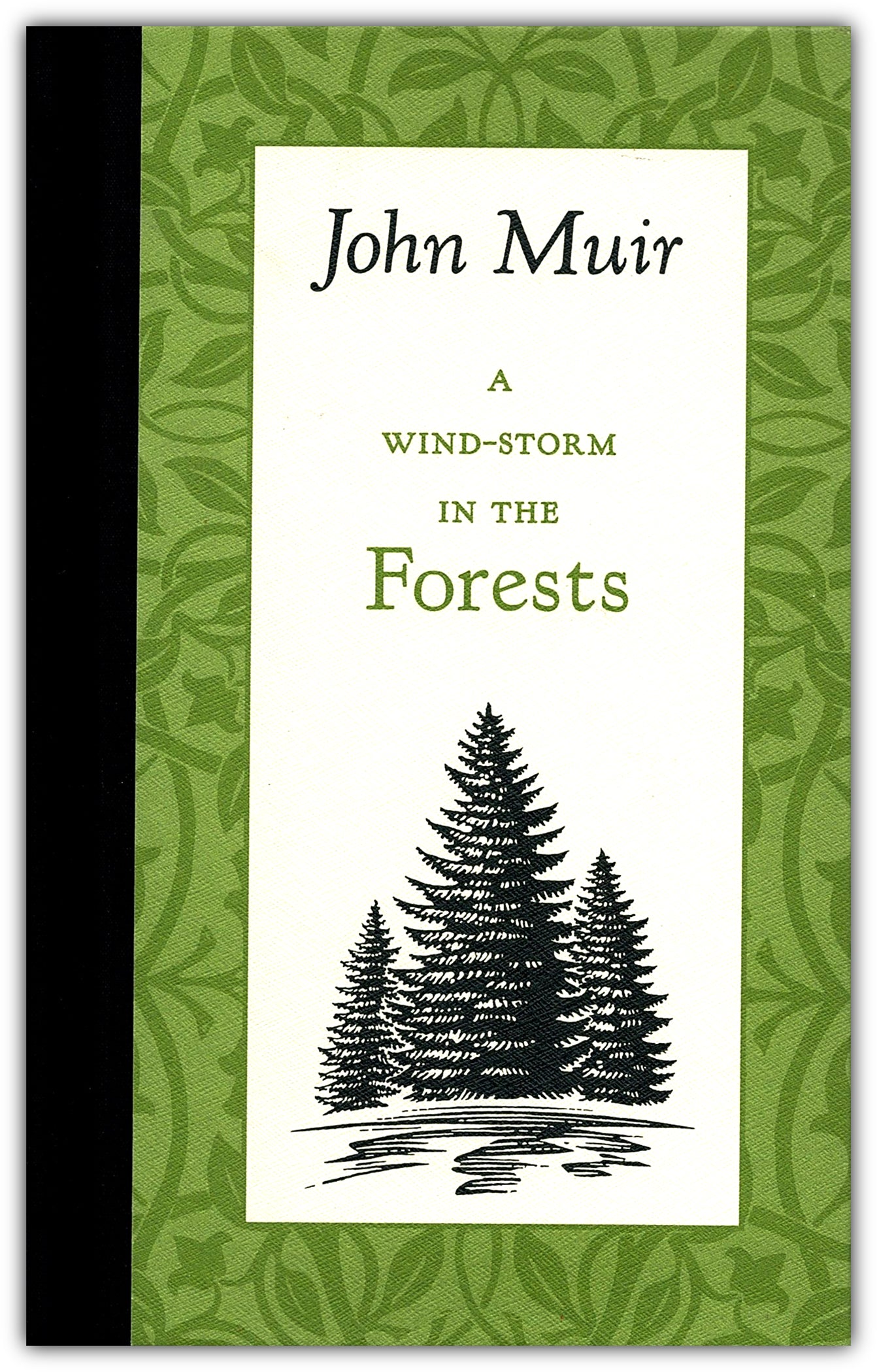 A Wind-Storm in the Forests