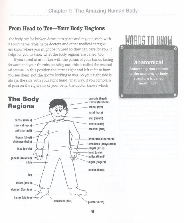 The Everything KIDS' Human Body Book: All You Need to Know About Your Body Systems