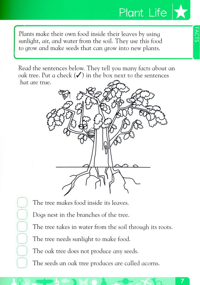 DK Workbooks: Science Grade 1