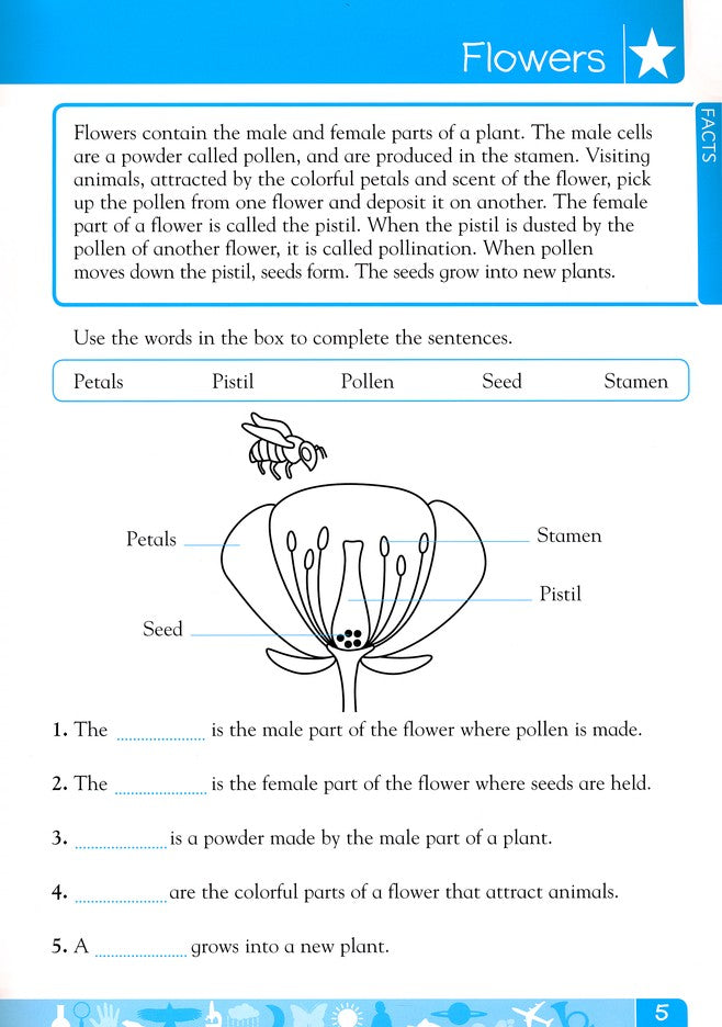 DK Workbooks: Science Grade 2