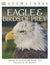 DK Eyewitness Books: Eagles & Birds of Prey