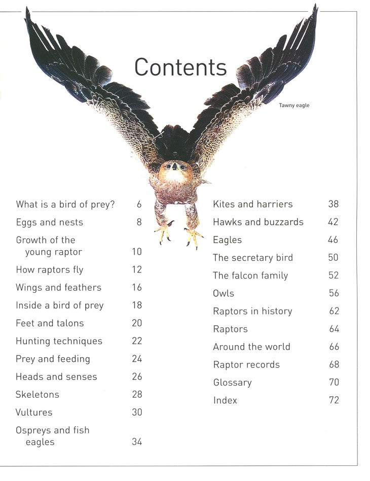 DK Eyewitness Books: Eagles & Birds of Prey