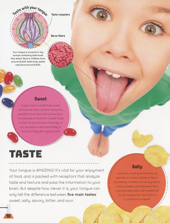 Science You Can Eat: 20 Activities that Put Food Under the Microscope