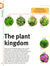 Trees, Leaves, Flowers and Seeds: A Visual Encyclopedia of the Plant Kingdom