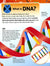 The DNA Book