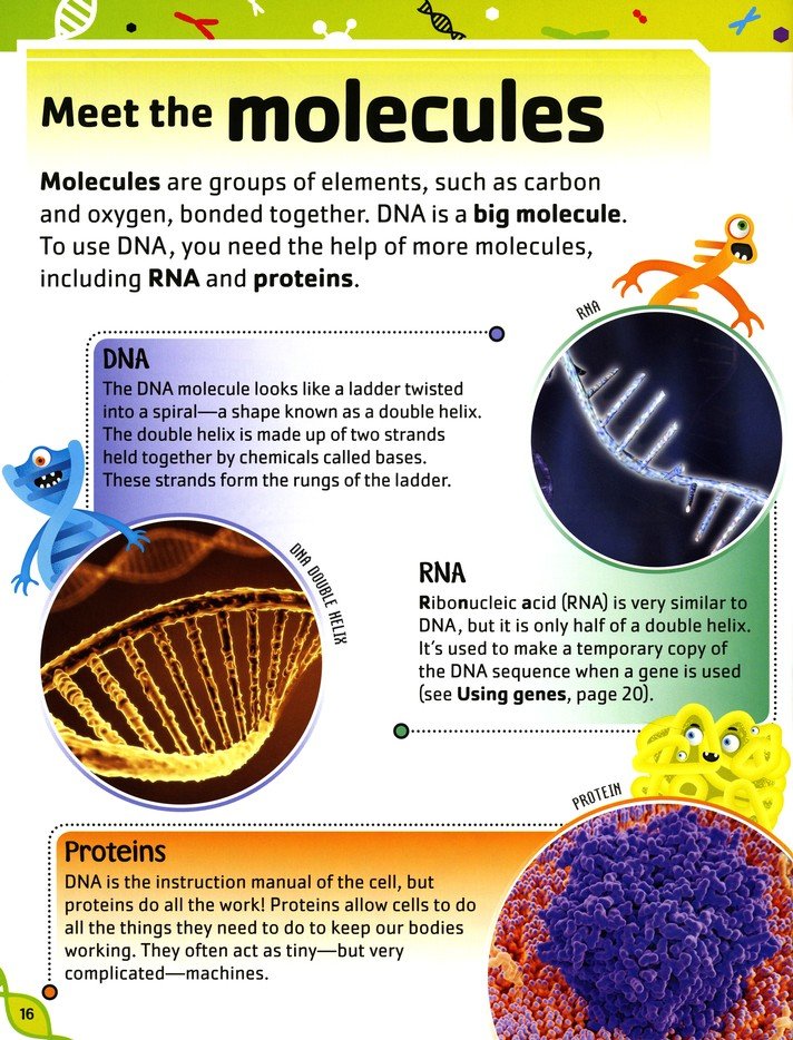 The DNA Book