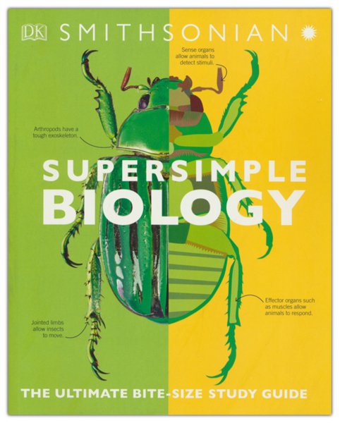 Biology: The Ultimate Bite-size Study Guide