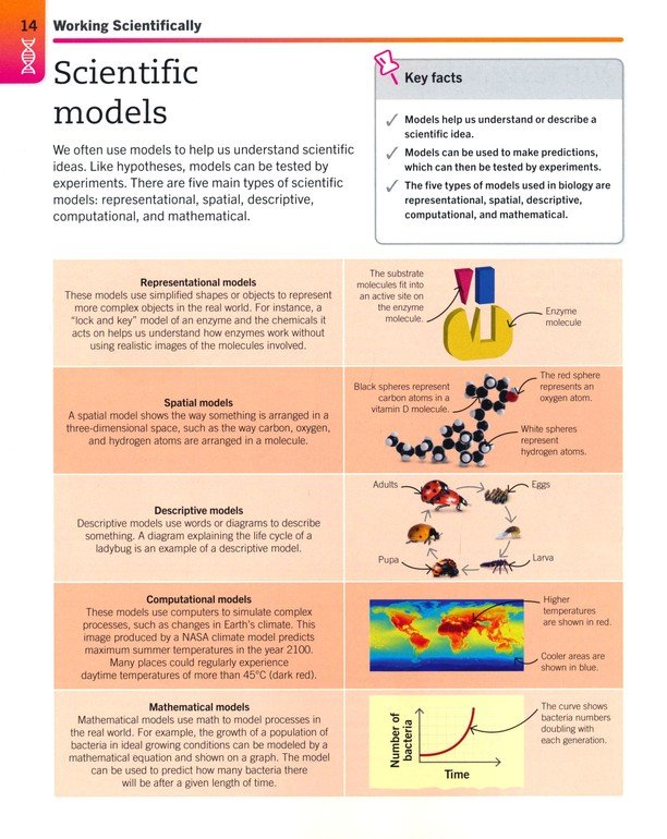 Biology: The Ultimate Bite-size Study Guide