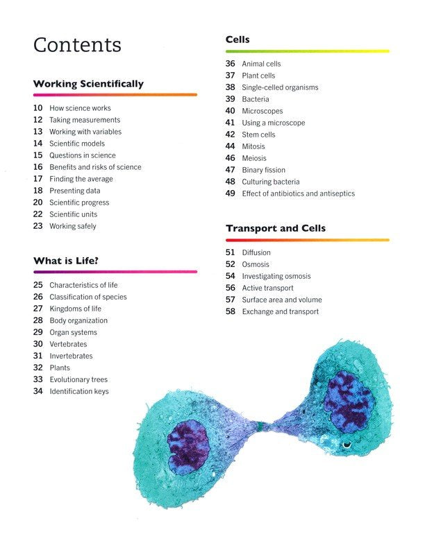 Biology: The Ultimate Bite-size Study Guide