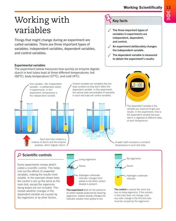 Biology: The Ultimate Bite-size Study Guide