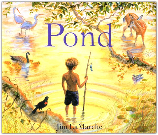 Pond Hardcover - Picture Book