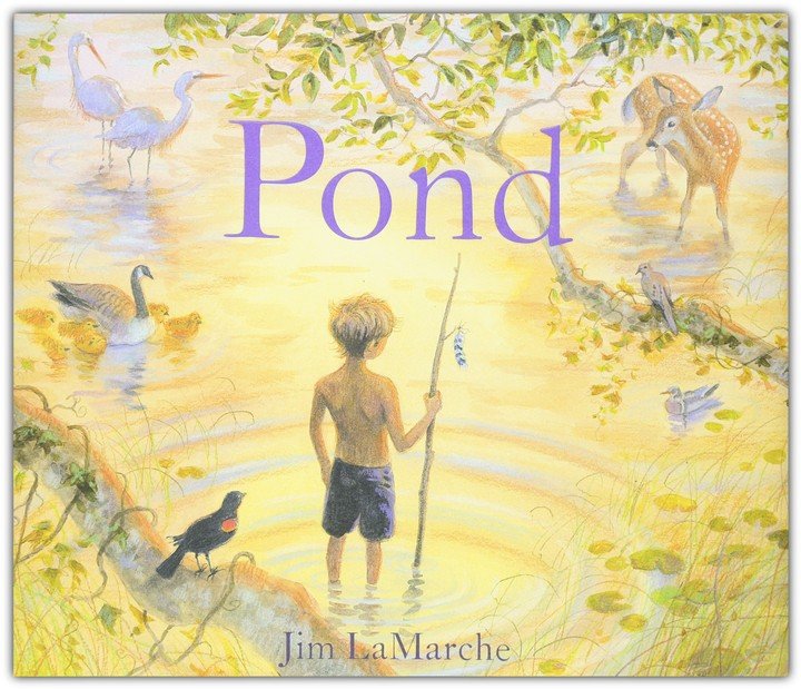 Pond Hardcover - Picture Book